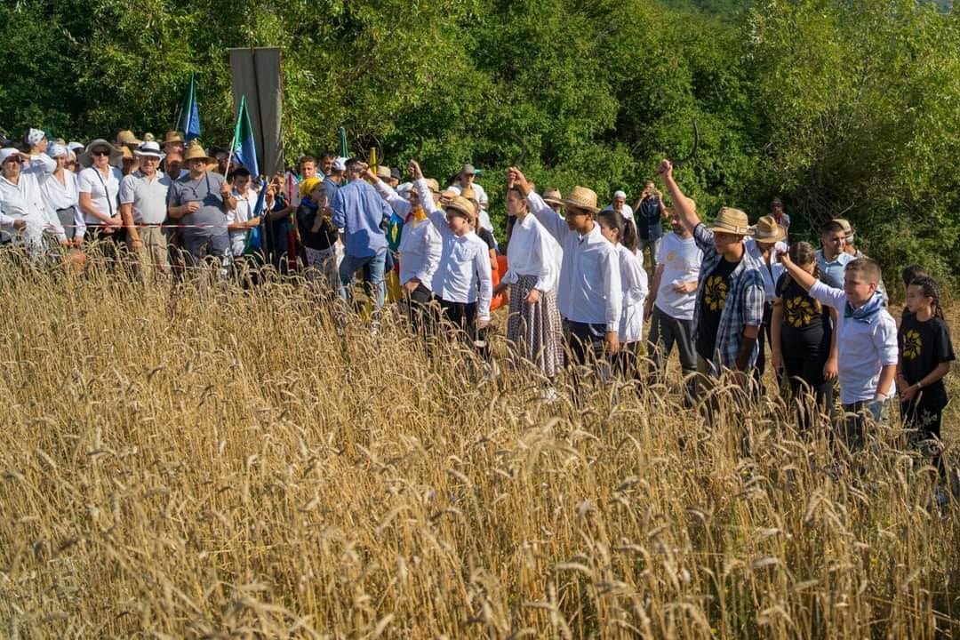 palio-grano-caselle-in-pittari